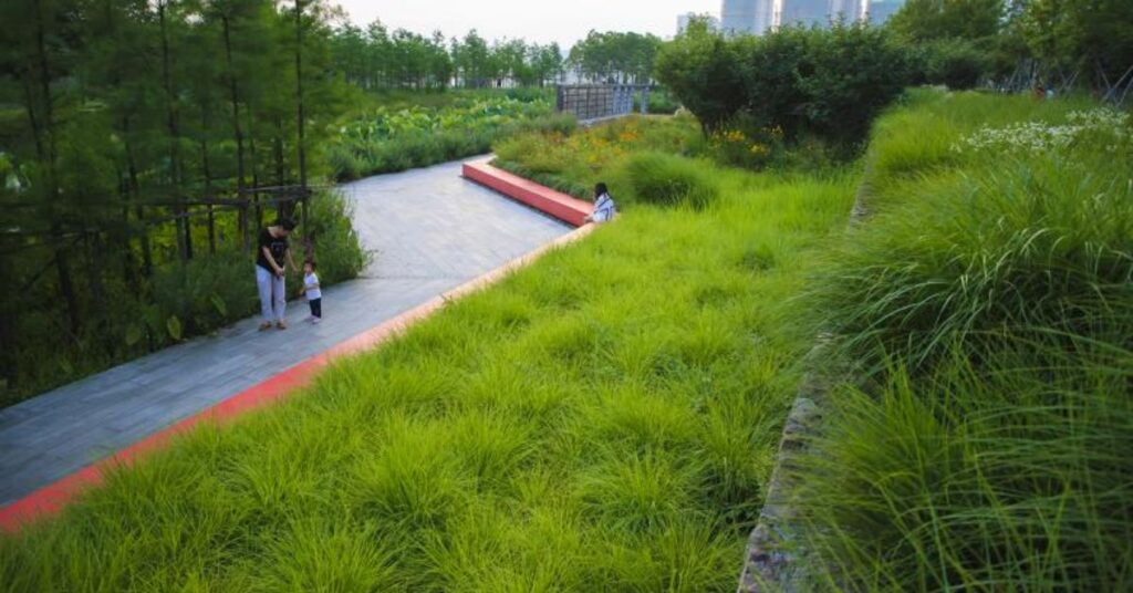 yongning park, taiwan