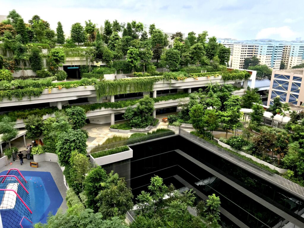 future of Biophilic Design